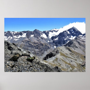 Kea Pair on Avalanche Peak Poster