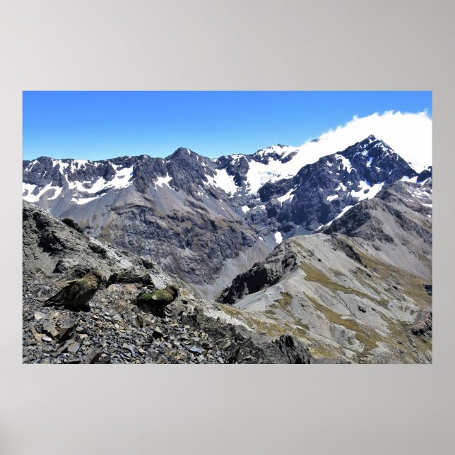 Kea Pair on Avalanche Peak Poster (Front)