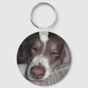 Keekster Keychain