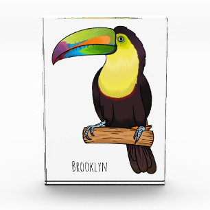 Keel-billed toucan bird cartoon illustration photo block