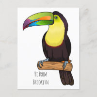 Keel-billed toucan bird cartoon illustration 