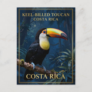 Keel-Billed Toucan Costa Rica Wildlife Postcard