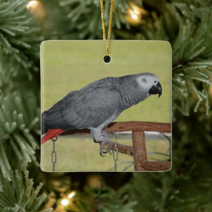 Keen Congo African Gray Parrot Ceramic Ornament