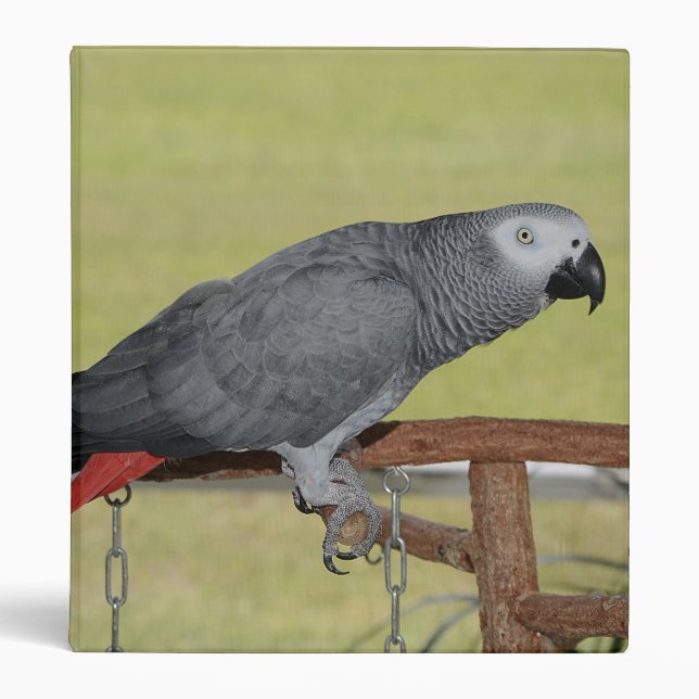 Keen Congo African Grey Parrot Binder (Front)