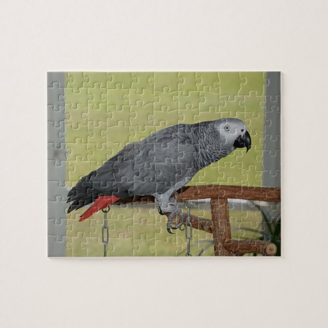 Keen Congo African Grey Parrot Jigsaw Puzzle (Horizontal)