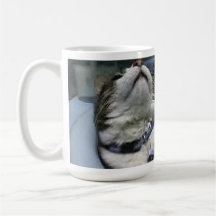 Keeno in the Sink Mug 1