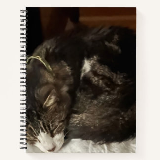 Keeno Perfect Circle Spiral Notebook