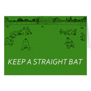 Keep a Straight Bat2