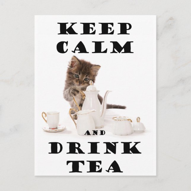 keep calm and drink tea kitten postcard (Front)