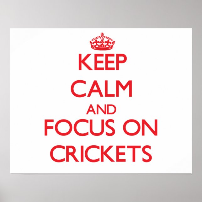Keep Calm and focus on Crickets Poster (Front)