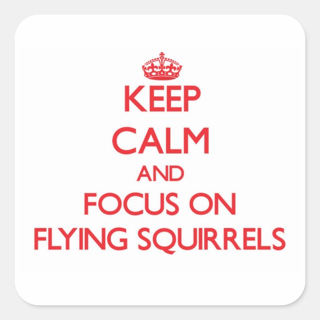 Keep Calm and focus on Flying Squirrels Square Sticker (Front)