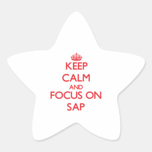 Keep Calm and focus on Sap Star Sticker