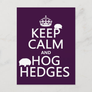 Keep Calm and Hog Hedges (Hedgehogs) (all colours) Postcard