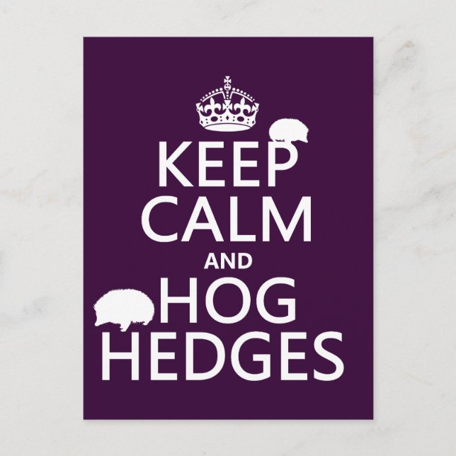 Keep Calm and Hog Hedges (Hedgehogs) (all colours) Postcard (Front)