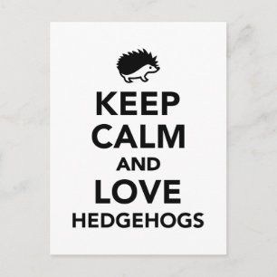 Keep calm and love hedgehogs postcard