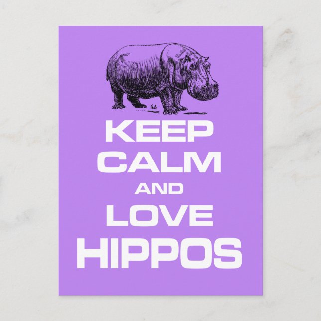 Keep Calm and Love Hippos Hippotamus Fun Design Postcard (Front)