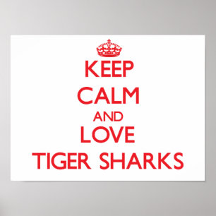 Keep calm and love Tiger Sharks Poster