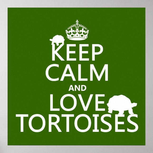Keep Calm and Love Tortoises (any colour) Poster (Front)