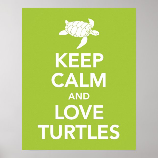 Keep Calm and Love Turtles print poster (Front)