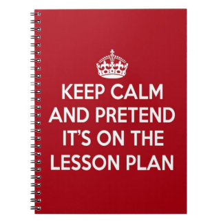 KEEP CALM AND PRETEND IT'S ON THE LESSON PLAN GIFT NOTEBOOK