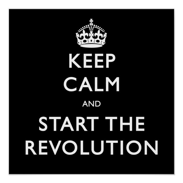 Keep Calm And Start The Revolution Poster (Front)