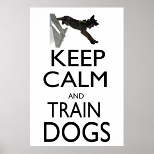 Keep Calm and Train Dogs Poster