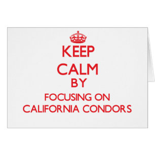 Keep calm by focusing on California Condors