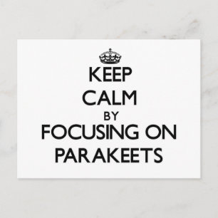 Keep Calm by focusing on Parakeets Postcard