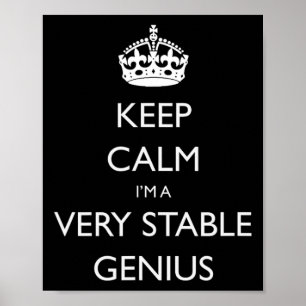 Keep Calm I'm A Very Stable Genius Funny Trump Poster