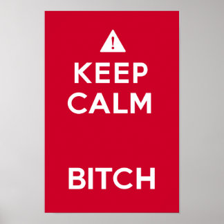 Keep Calm Parody Funny Poster