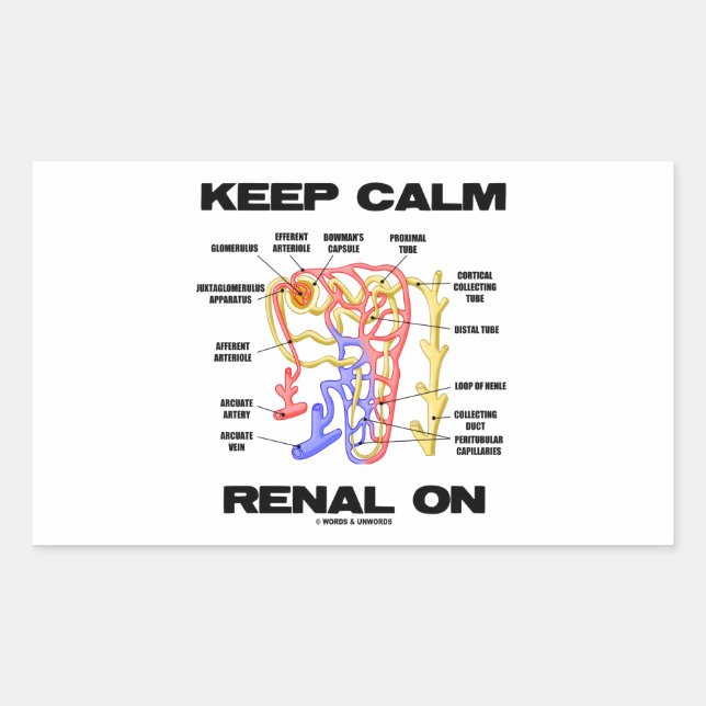 Keep Calm Renal On (Kidney Nephron) Sticker (Front)