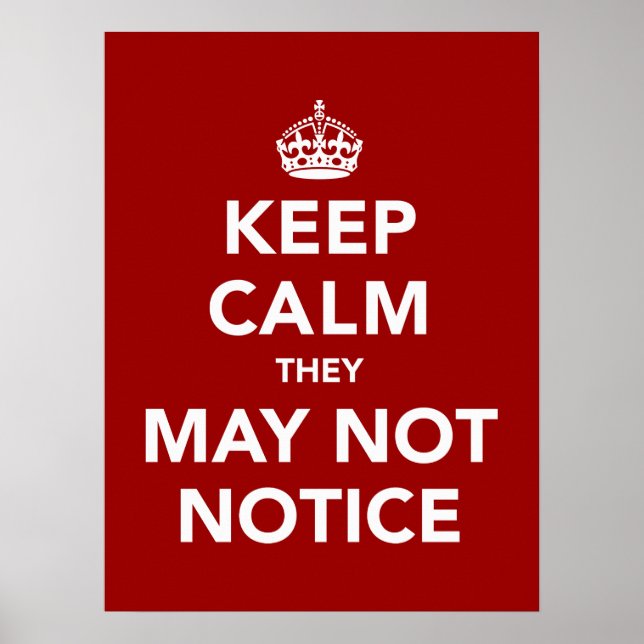 Keep Calm They May Not Notice Poster (Front)