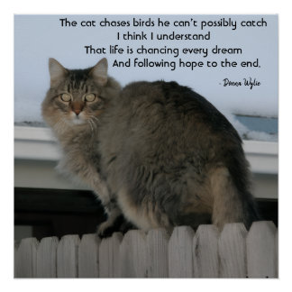 Keep Chasing Dreams Poster