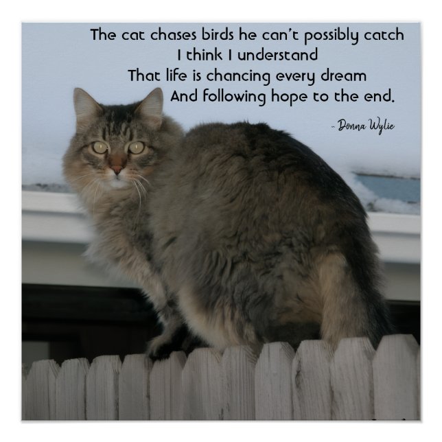 Keep Chasing Dreams Poster (Front)