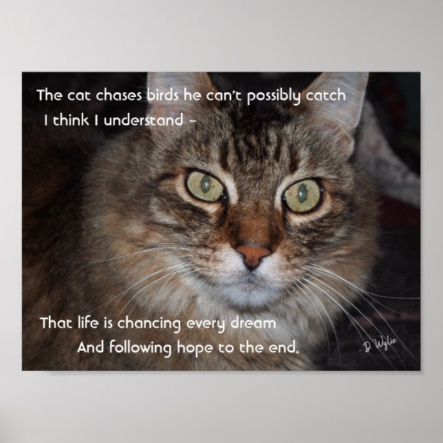 Keep Chasing Dreams Poster (Front)