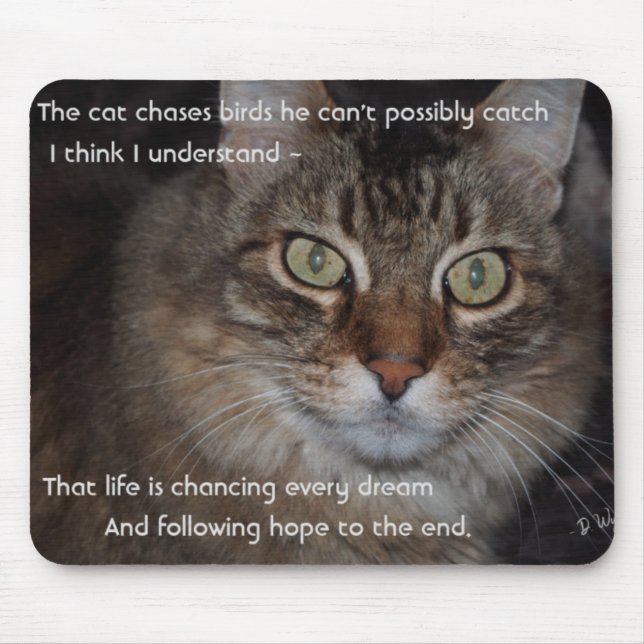 Keep Chasing Your Dreams - Cat Mouse Pad (Front)