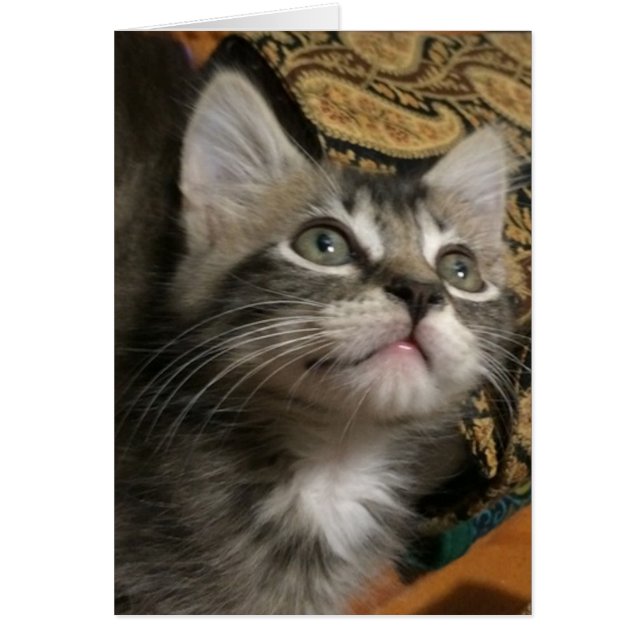 "Keep Looking Up" Card (Front)