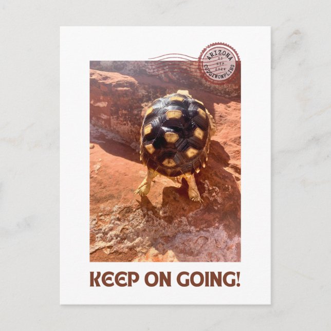 Keep on Going hustle Baby Sulcata hiking in Sedona Postcard (Front)