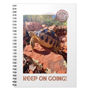 Keep on Going Inspirational coddiwompling Tortoise Notebook