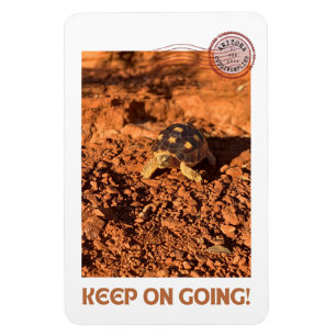 Keep on Going Motivational coddiwompling Tortoise Magnet