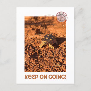 Keep on Going Motivational coddiwompling Tortoise Postcard