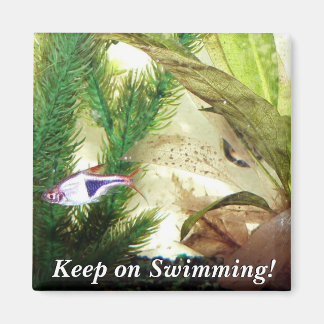 Keep on Swimming! Magnet