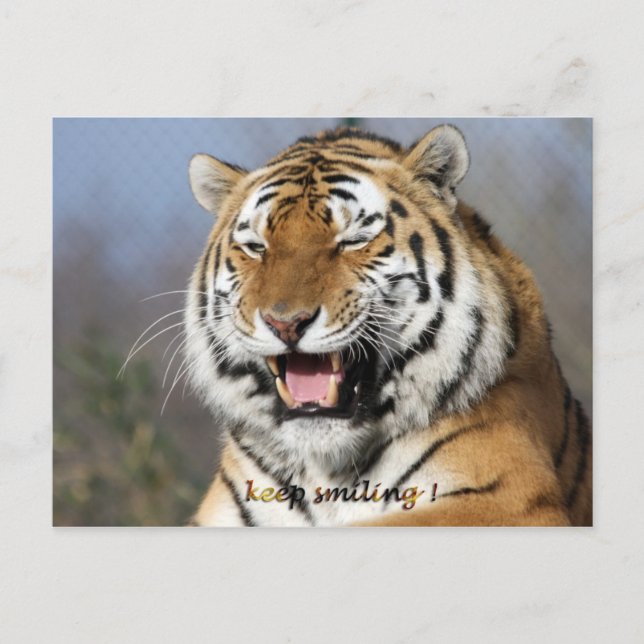 keep smiling postcard (Front)