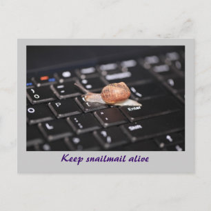 Keep Snailmail alive Postcard