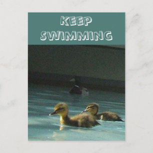 Keep Swimming Ducklings Postcard