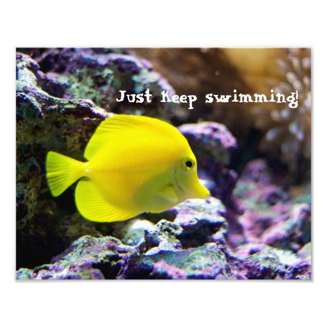 Keep Swimming Motivational Photo Print (Front)