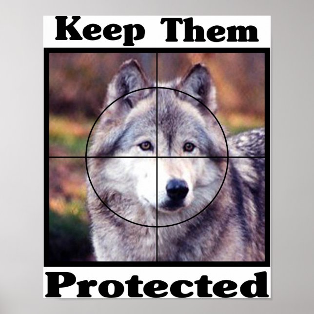Keep them Protected - Wolf Poster (Front)