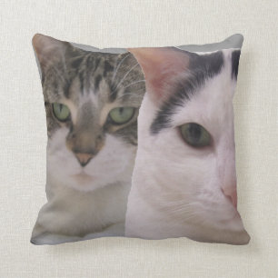 Keep Your Friends Close and Enemies Closer Cats Throw Pillow