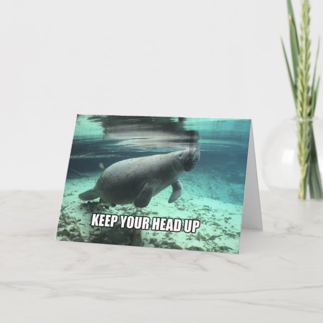 "Keep Your Head Up" Calming Manatee Greeting Card (Front)