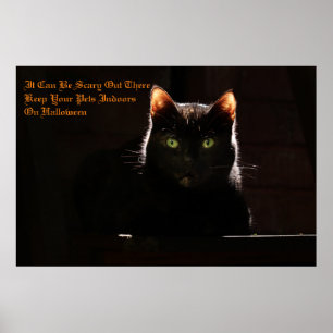 Keep Your Pets Indoors Poster
